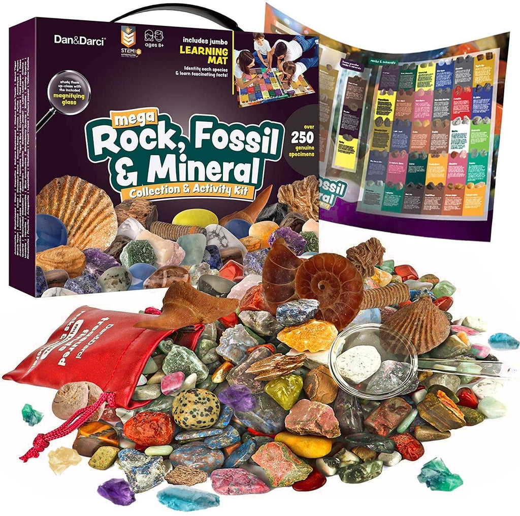 Rock, Fossil & Mineral Learning Mat