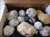 Discovery Geodes