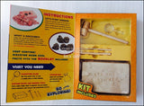 Excavation Kit: Fools Gold Fun Kits